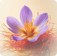 Saffron